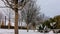 Winter evening in the park. Bare trees stand in a row, decorated with lanterns.