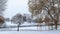 In winter everything is covered with snow, and the water channel in the city park is almost completely covered with ice. Willows a