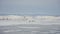 Winter expedition, group of tourists trekking with sleds on snowy windy ice lake