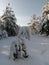 Winter fairy tale,winter in Russia,snow kingdom, winter landscape