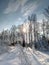 Winter fairy tale,winter in Russia,snow kingdom, winter landscape