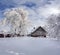 Winter fairytale, heavy snowfall