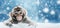 Winter fantastic postcard. Monkey in a fairy-tale snowy forest. Christmas image. Winter wonderland