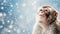 Winter fantastic postcard. Monkey in a fairy-tale snowy forest. Christmas image. Winter wonderland