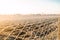 Winter farm field through view a mesh fence. Beautiful sunrise in countryside. Frost on fence grate, frosty cold. Property fencing