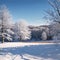 Winter farmland scenery landscape under snow with trees on background. Winter landscape with snow covered countryside.