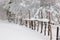 Winter Fence