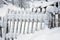 Winter fence home