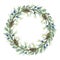 Winter festive wreath. Eucalyptus, pine, junier round seasonal decoration. Watercolor illustration. Christmas holiday