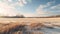 Winter Field Landscape In Rural America