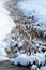 Winter in Finland: Frozen River with Dead Herbaceous Plants