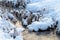 Winter in Finland: Frozen River with Dead Herbaceous Plants