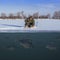 Winter fishing concept. Fisherman in action. Catching perch fish from snowy ice at lake above troop of fish. Double view under and