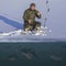 Winter fishing concept. Fisherman in action. Catching perch fish from snowy ice at lake above troop of fish. Double view under and