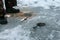 Winter fishing rods lie on holes drilled in the ice near the feet of the fisherman.