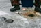 Winter fishing rods lie on holes drilled in the ice near the feet of the fisherman.