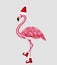 Winter flamingo in Santa hat and shoes. Christmas design for cards, backgrounds, fabric, wrapping paper. Merry Christmas and Happy