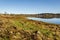 Winter flood debris in the wrack zone on the River Dee estuary at kirkcudbright