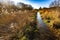 Winter flooding in Combe Valley near Bexhill, East Sussex, England