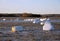 Winter flooding of river in rural Finland