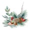 Winter floral natural arrangement watercolor illustration. Hand drawn rustic decor with pine, eucalyptus leaves, acorn.