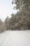 Winter foggy landscape in forest