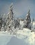 Winter foot-path with trees