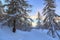 Winter forest in Alps near Vogel sky center in Slovenia