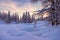 Winter forest in Alps near Vogel sky center in Slovenia