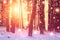 Winter forest background. Vivid sunrise in winter snowy forest. Bright sunbeams through trees in woodland