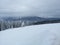 Winter forest in the Carpathians