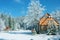 Winter forest in the Carpathians. Lake Vito