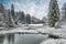 Winter forest in the Carpathians on the mountain lake Vita.