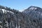 Winter forest in Caucasus mountains resort Rosa Khutor, Sochi Russi