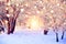 Winter forest with colorful snowflakes. Snow covered trees with christmas lights. Christmas wonderland background. Beautiful New