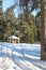 Winter forest covered with snow