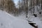 Winter forest covered with snow in a ravine a river