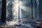 Winter forest with frost and snow, sun rays penetrate through the trees