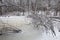 Winter forest and frozen lake in Michigan. Lillian Anderson Arboretum in Kalamazoo