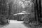 Winter forest and a gazebo covered by snow in Michigan. Lillian Anderson Arboretum in Kalamazoo. Black and white