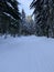 Winter forest with great snow. Path covered in snow among pine trees