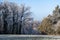 Winter forest with hoarfrost on the branches and twigs of the trees and on the meadow.