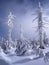 Winter forest in Jizera mountains, Poland