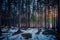 Winter forest in Karkonosze