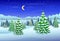Winter forest landscape christmas trees woods