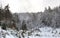 Winter forest landscape - coniferous tree tops covered with snow, cloudy sky above