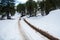 Winter forest landscape with frozen impassable road