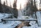 Winter forest landscape. Karelia, morning.