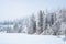 Winter forest landscape nature photography December month time snow wall weather noise pollution air scenic view wilderness space