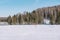 Winter forest landscape. Taiga in the winter. Siberian forest in winter. Snow covered trees. Christmas trees under the snow